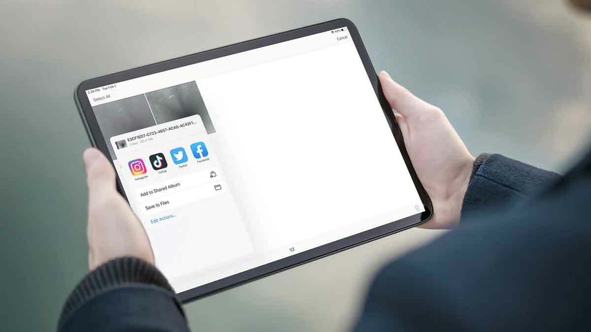 Share Photos Videos and Reports